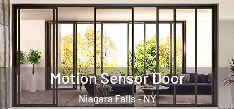 Motion Sensor Door Niagara Falls - NY